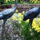 Elevate Your Garden: Metal Garden Ornaments & Decor | The Ultimate Gardening Guide: Grow a Thriving Garden Year-Round