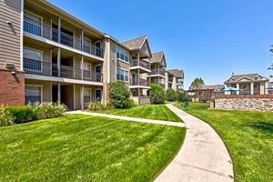 Discover Amarillo Garden Apartments: Your Green Oasis Home | The Ultimate Gardening Guide: Grow a Thriving Garden Year-Round