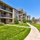 Discover Amarillo Garden Apartments: Your Green Oasis Home | The Ultimate Gardening Guide: Grow a Thriving Garden Year-Round