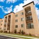 Discover The Lofts at New Garden Apartments: Modern Living! | The Ultimate Gardening Guide: Grow a Thriving Garden Year-Round