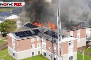 Find Garden Valley Apartments: Your Dream Home Awaits! | The Ultimate Gardening Guide: Grow a Thriving Garden Year-Round