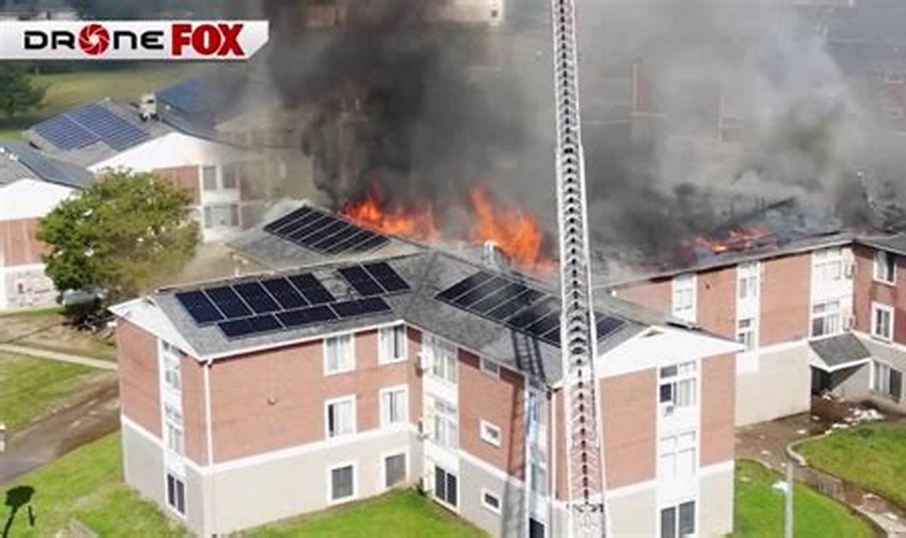 Find Garden Valley Apartments: Your Dream Home Awaits! | The Ultimate Gardening Guide: Grow a Thriving Garden Year-Round