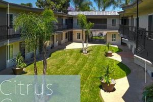 Find Your Citrus Garden Apartments Oasis | The Ultimate Gardening Guide: Grow a Thriving Garden Year-Round