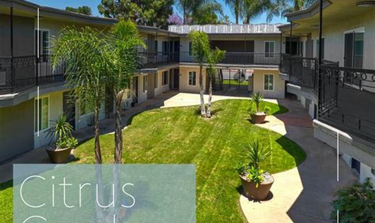 Find Your Citrus Garden Apartments Oasis | The Ultimate Gardening Guide: Grow a Thriving Garden Year-Round