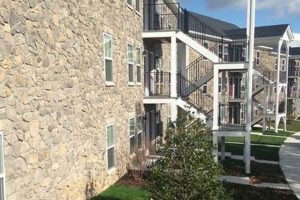 Discover Laurel Garden Apartments: Your Perfect Home | The Ultimate Gardening Guide: Grow a Thriving Garden Year-Round