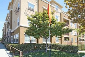 Discover Harbor Grove Apartments in Garden Grove CA Your New Home! | The Ultimate Gardening Guide: Grow a Thriving Garden Year-Round